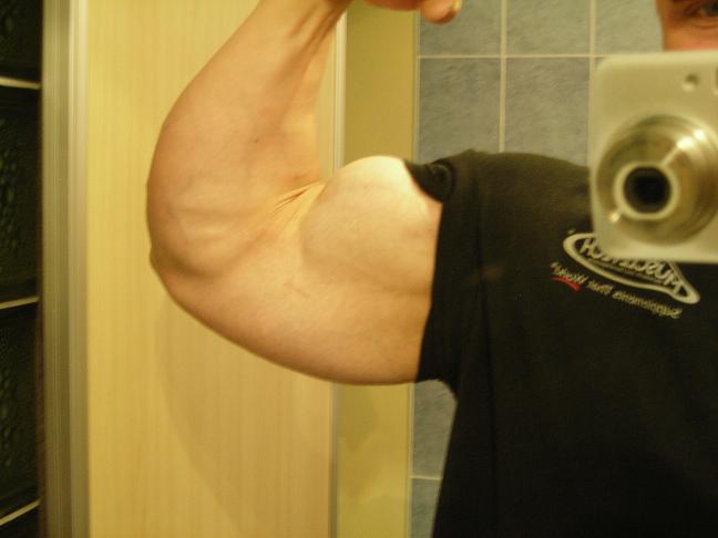 Biceps 27,9,2011.JPG